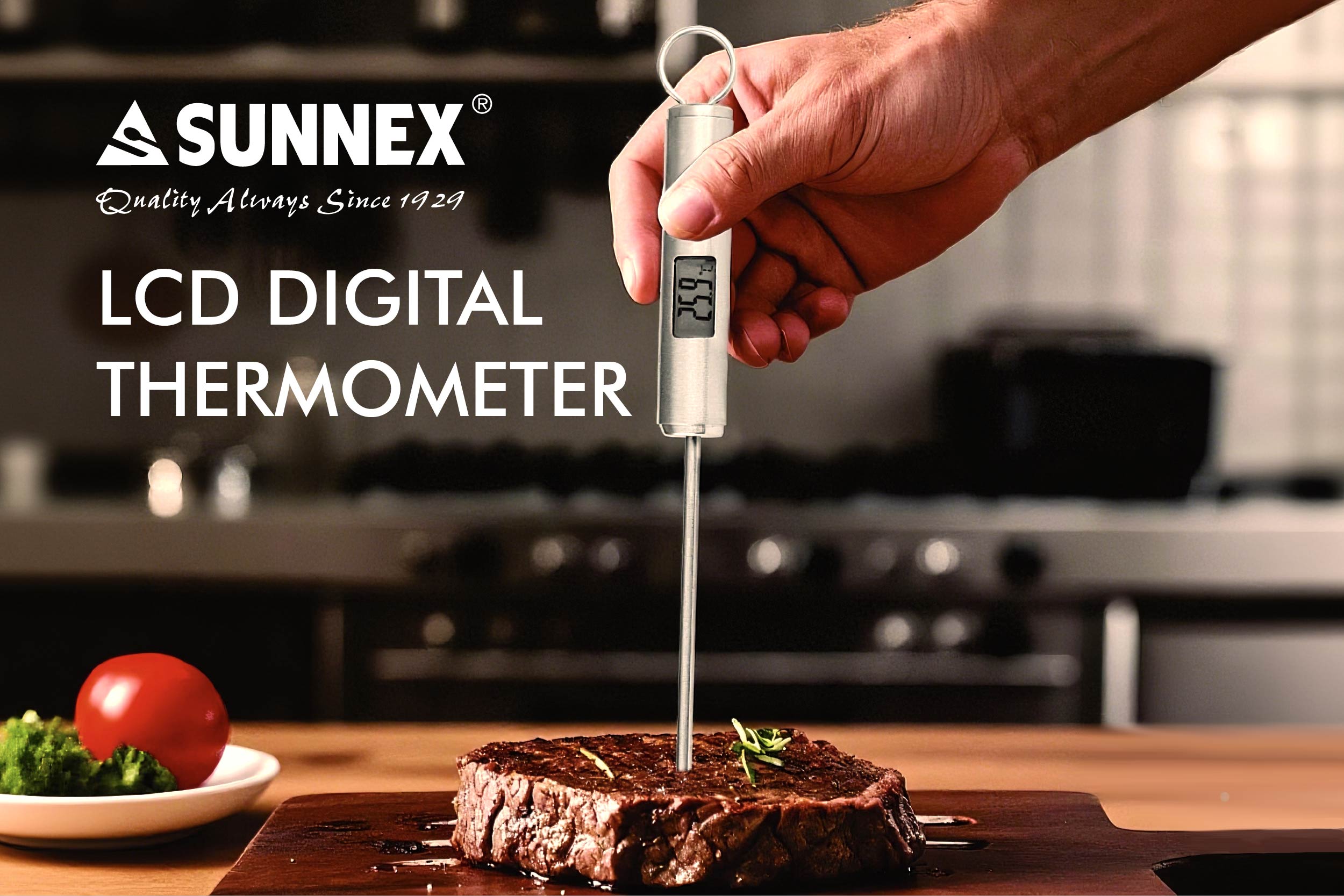 Termometer digital pelbagai guna sunnex baru